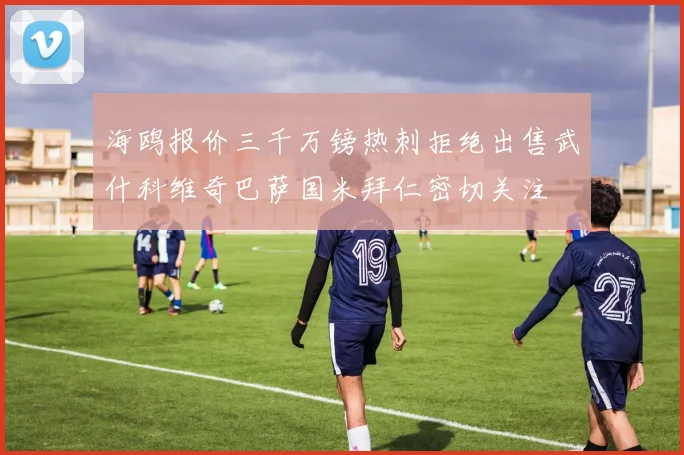 海鸥报价三千万镑热刺拒绝出售武什科维奇巴萨国米拜仁密切关注