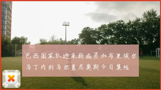 巴西国家队迎来新成员加布里埃尔马丁内利马尔基尼奥斯今日集结