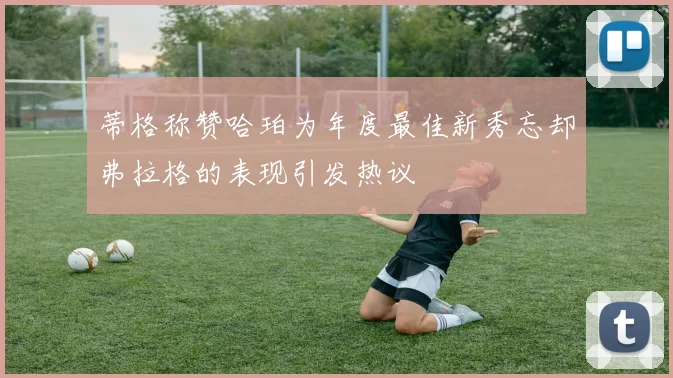 蒂格称赞哈珀为年度最佳新秀忘却弗拉格的表现引发热议